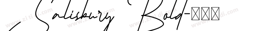 Salisbury Bold字体转换 Salisbury Bold字体转换